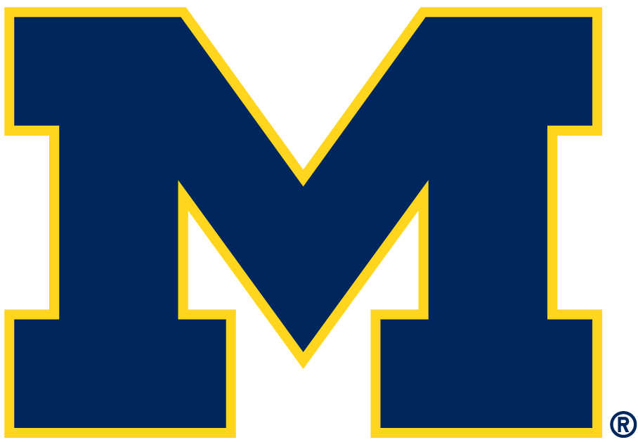 Michigan Wolverines 1996-Pres Alternate Logo diy DTF decal sticker